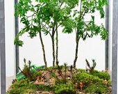 Forest Terrarium // Live Moss // Little people // Hippies // Jogger // Glass Lantern Terrarium // Home and Living // Indoor Garden