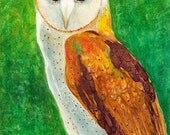 Barn Owl, Contemporary Home Decor, Christmas Gift -  FREE SHIPPING - Original Watercolor Painting by ebsq Artist Ricky Martin