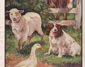 Vintage Animal Print, 1933 Nursery Art Illustration, Wall Decor, Pony, Dog and Lamb, Double Sided