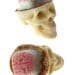 Chocolate Skulls Gone Nuts