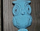 Whimsical Aqua Blue Owl Wall Hook/ Cottage,Shabby Chic Decor /Key Holder /Accessory /Coat Rack  /Towel Hanger /Whimsy Fixture,