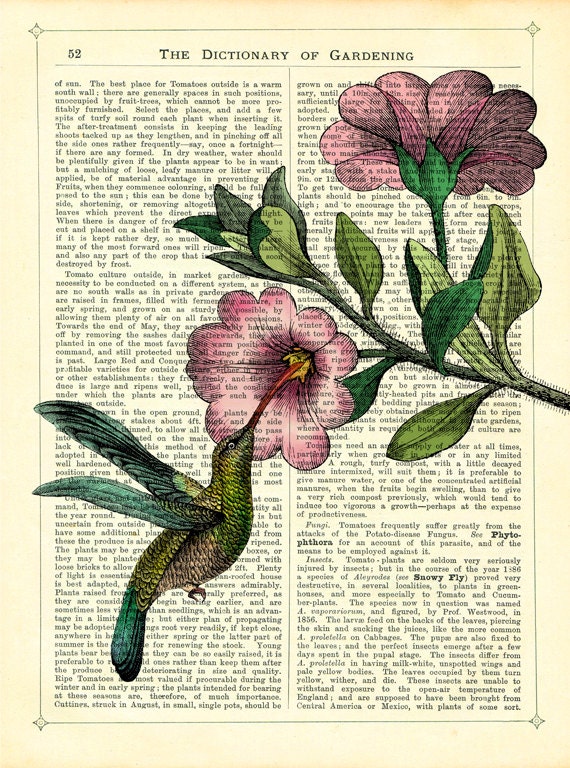 Hummingbird and Flower - Digital Print