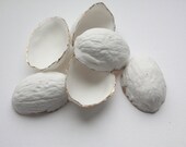 Walnut shells from stoneware English fine bone china and real gold
