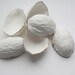 Walnut shells from stoneware English fine bone china and real gold