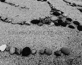 The Labrynth- 8x10 - Black & White Nature Photography