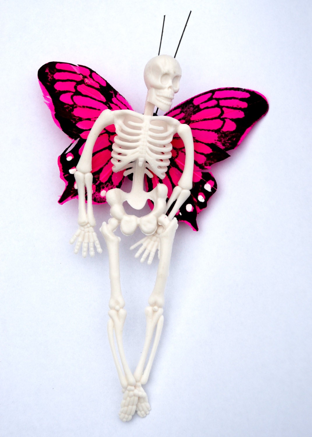 pink skeleton