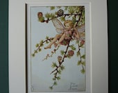 Larch Tree Fairy By Cicely Mary Barker, 1923 Print - Flower Fairies Of The Spring - Matted Ready To Frame - Faerie - Nature - Pixie - Garden