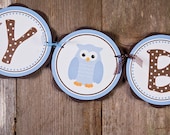 Owl HAPPY BIRTHDAY Banner - Blue Owl Birthday Party Decorations - Boy Birthday Party Decorations in Blue and Brown Il_170x135