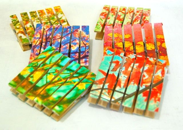 6 Decorative Wooden Clothespins - Beautiful Floral Designer Pegs to Brighten Your Home or Workspace - Pretty Fun Party Gift Decor Accessory