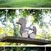 Set of 3 Wooden Animal Toys