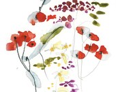 Red Poppy Print 8x10 colorful flower floral nursery decor for girls room mothers day gift under 25