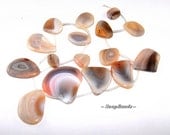 Waterfall Botswanna Agate Gemstone Gradated Cushion Oval Focal 40X40MM -16X13MM Loose Beads 16 inch Full Strand (90165780-BIN 7)
