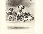 PUPPIES 1940s Dog Print, Animal Print, Dalmation, Black & White, Wall Decor, Art Illustration to Frame, Book plate, Morgan Dennis
