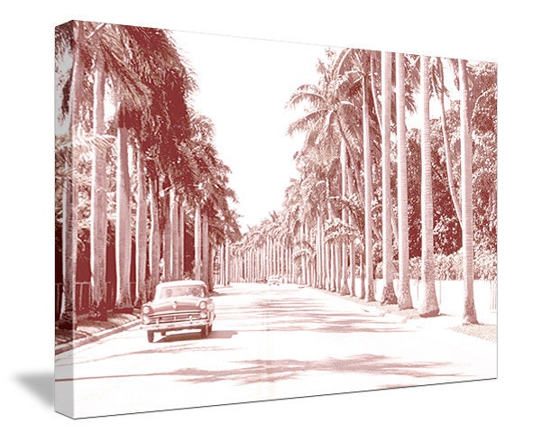 Edison's Palms