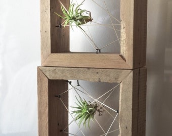 Rustic Reclaimed Recycled salvaged wood AIR PLANT holders. Vase, wall decor, geometric design, terrarium