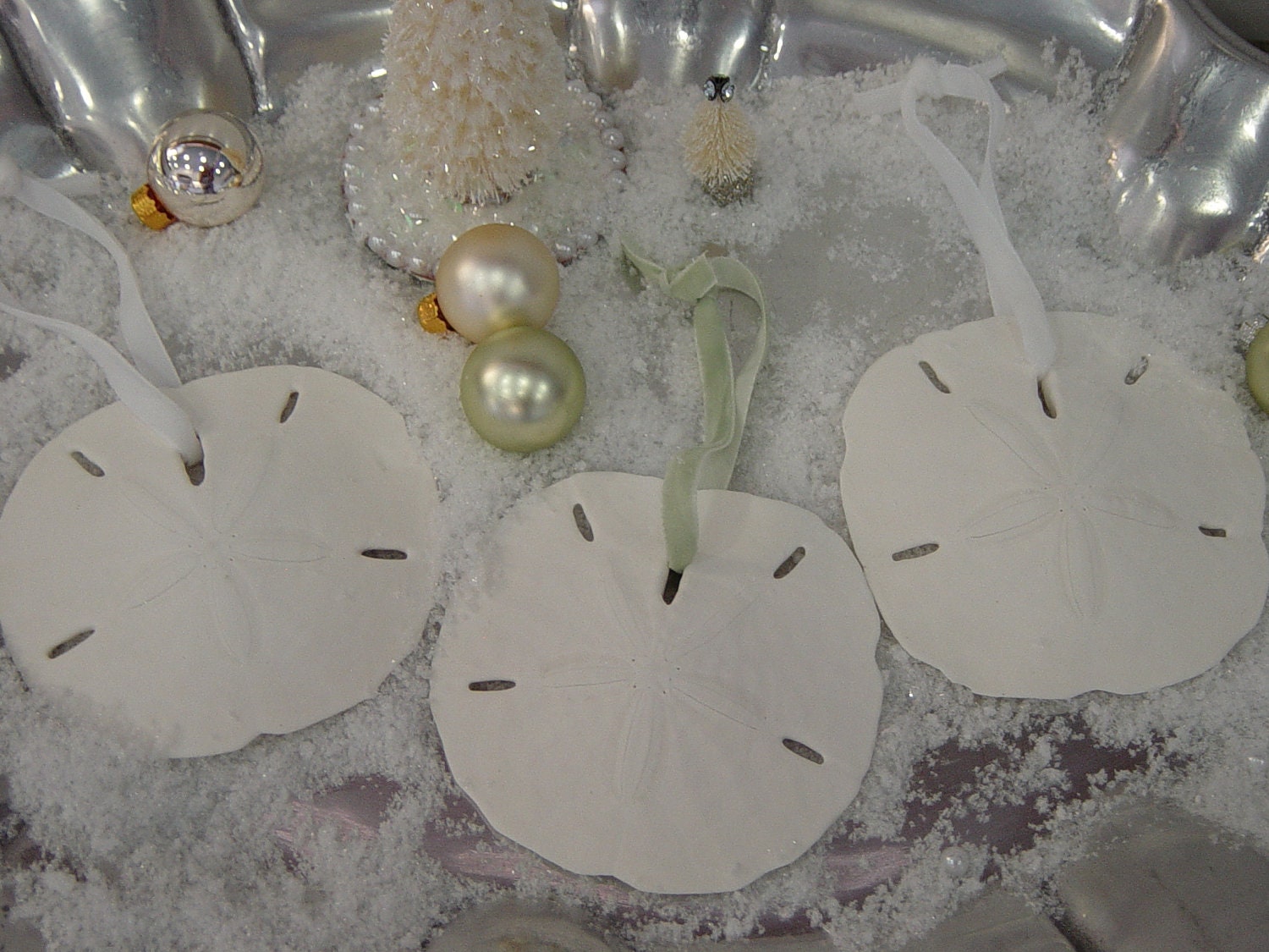 Sand Dollar Ornaments