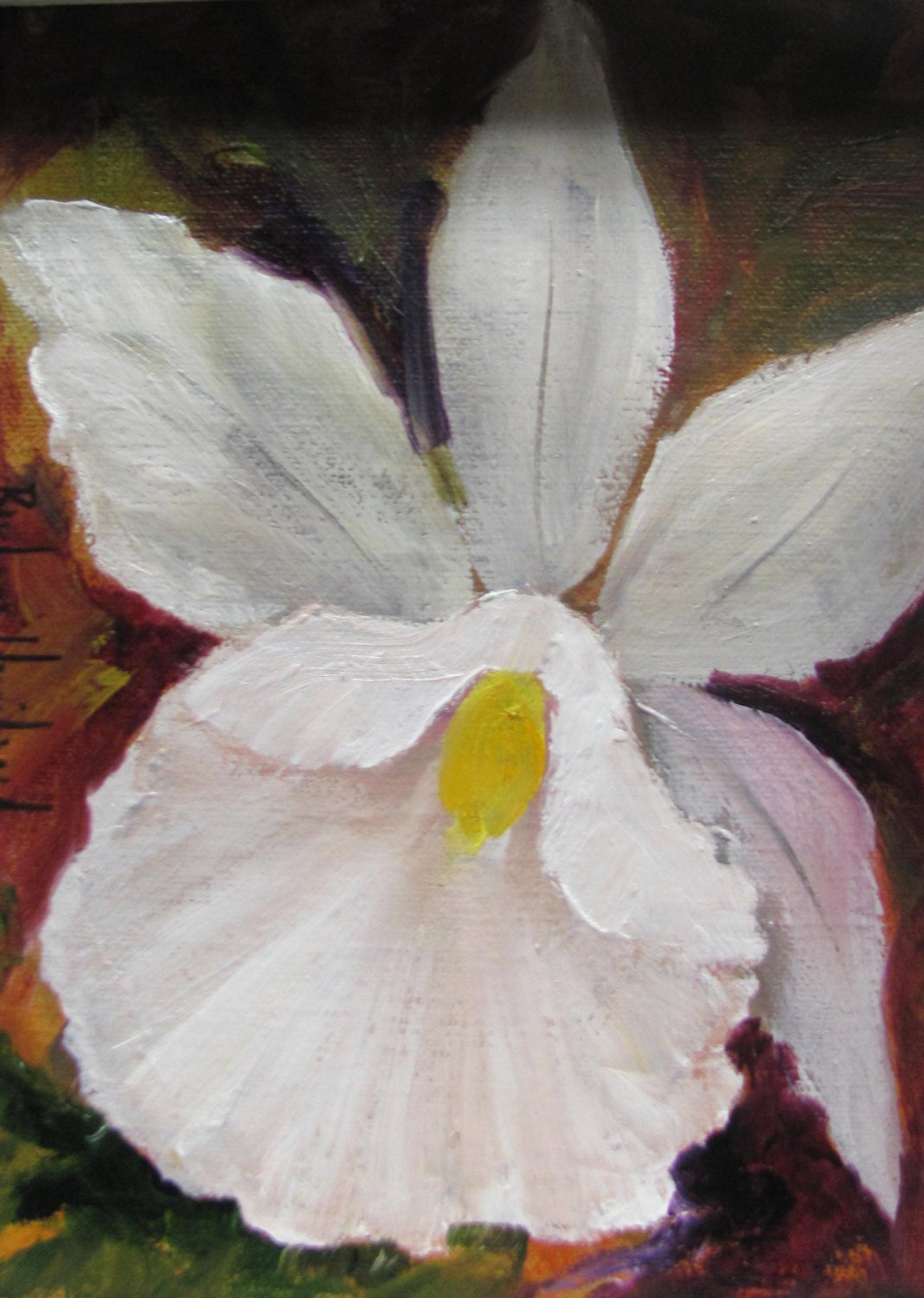 White Orchid,Cattelya,oil painting,miniature,Texas Artist,Barbara Haviland