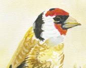 bird art red hat thistle watercolor archival print  5x7