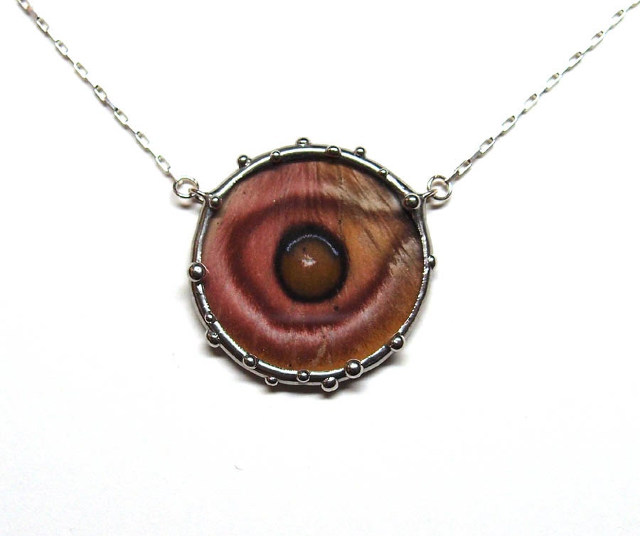 Evil Eye Necklace - Real Moth Wing - Nature Art Jewelry
