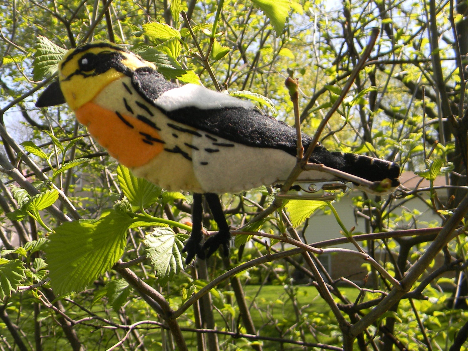 Blackburnian Warbler Embroidered Felt Ornament Home Decor