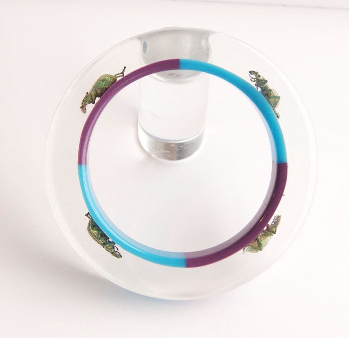Blude and purple lucite bracelet with real insects