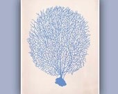 Sea Fan 1 in blue,  Vintage  image print, Blue Print,  Marine Wall Decor, Nautical art,  Collage  Print, Coastal Living, beach cottage