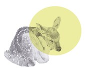 sleeping deer print 8x10