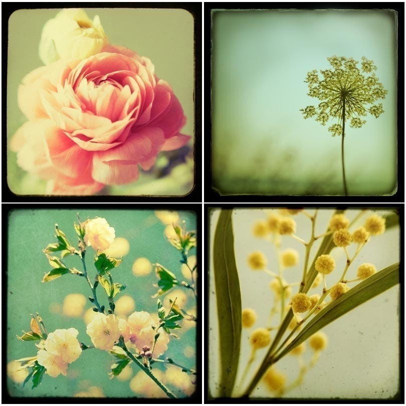 Flower Photography - TTV Flowers Print Set - Botanical Decor, Vintage Style Wall Decor, Pastel, Spring Floral Collection, Feminine, Romantic