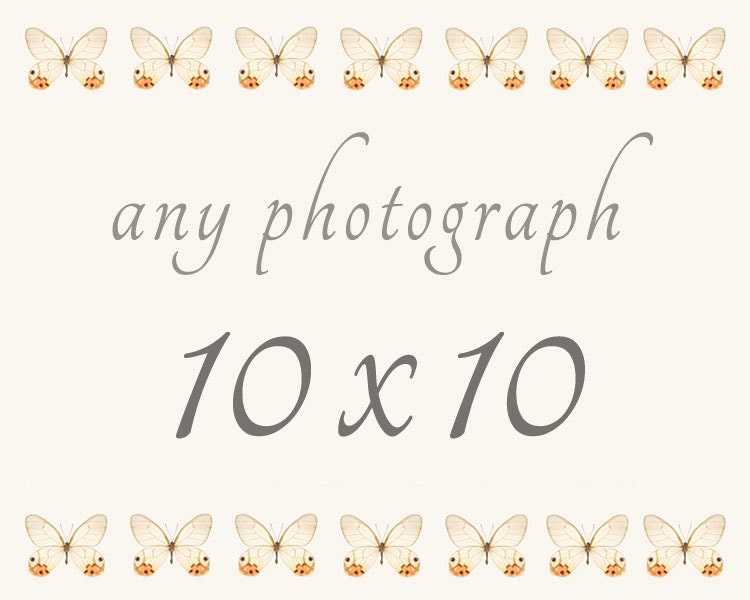 10x10 Custom Print from my Shop