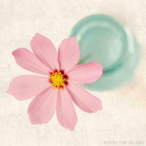 Flower Art Print, Flower Photo, Floral Photography Print, Shabby Chic Wall Art, Home Decor, "Pink Cosmos No. 1"