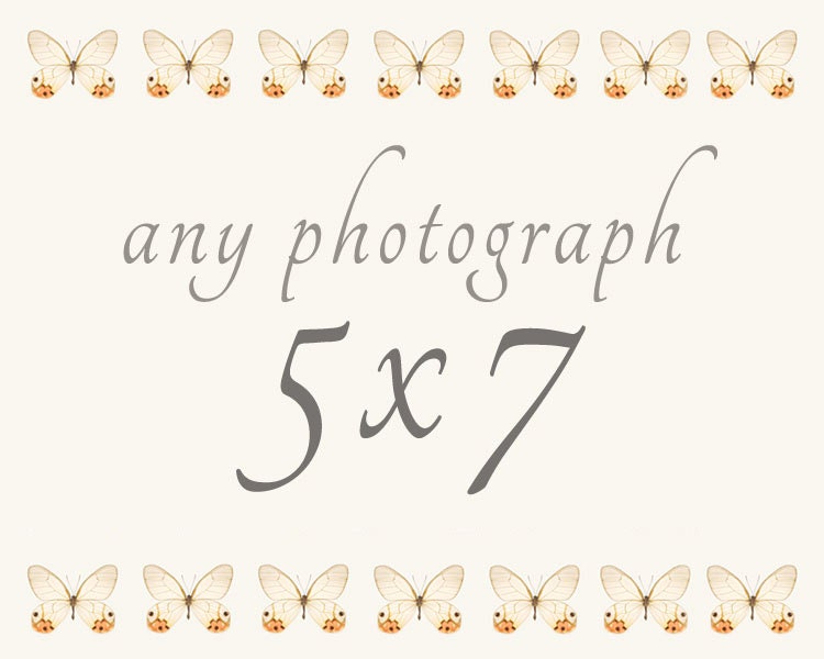 5x7 Custom Print from my Shop