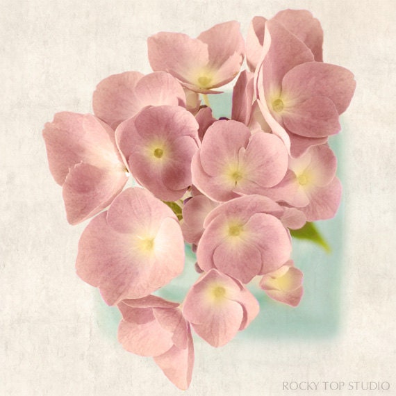 Flower Art Print, Spring Flower Photo, Floral Photography Print, Shabby Chic Wall Art, Flower Home Decor, "Pink Hydrangea"