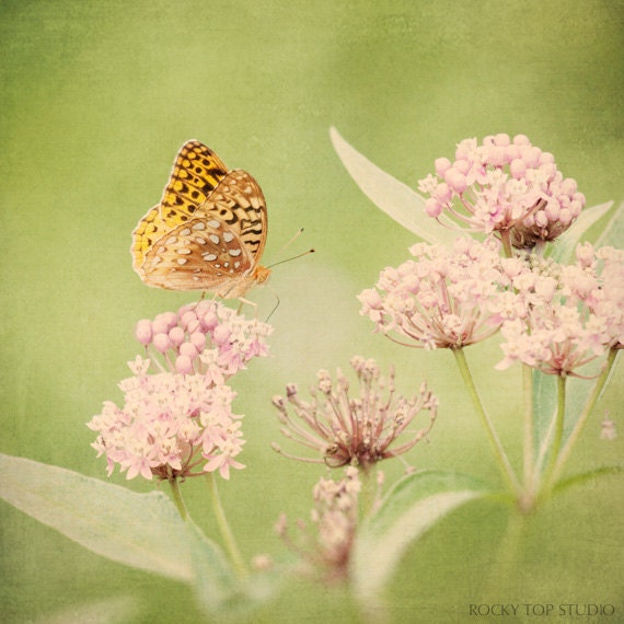 Butterfly Photo, Wall Art, Nature Photography, Floral Decor, Green & Pink Fine Art Photo, Flower Wall Decor, Butterfly Art Print, Nature Art