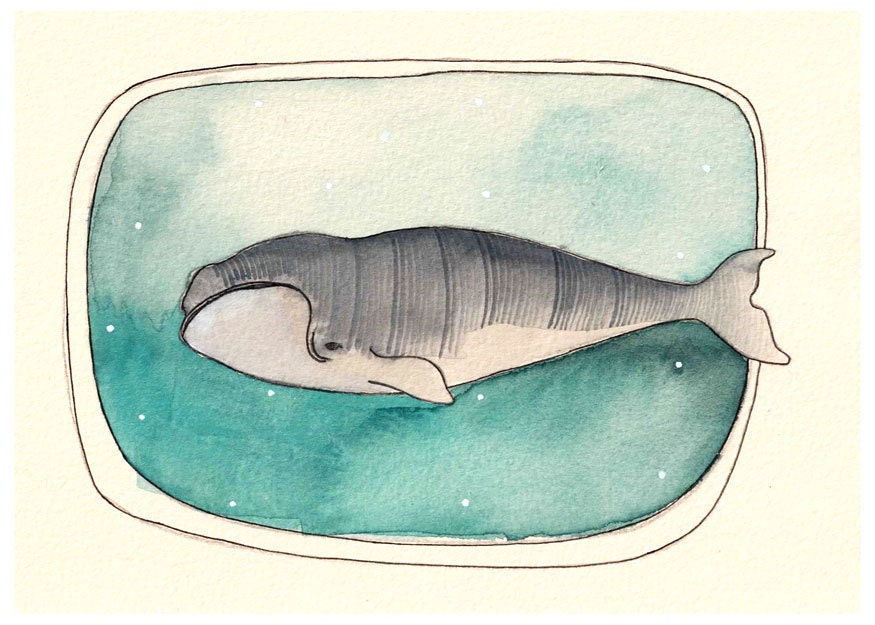 Whale Illustration // Whale Art Print // 5x7 Print by Michele Maule
