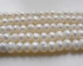 Off White Faceted Pearls 6.5 mm x 4.75 mm FULL 16 inch strand