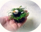 Mini Felted Bald Eagle In Nest