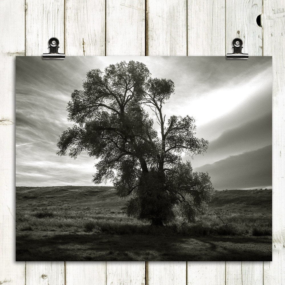 minimalist photography, black and white, modern home decor, large wall art, landscape - "Uncommon Occurences" - 8x10 print