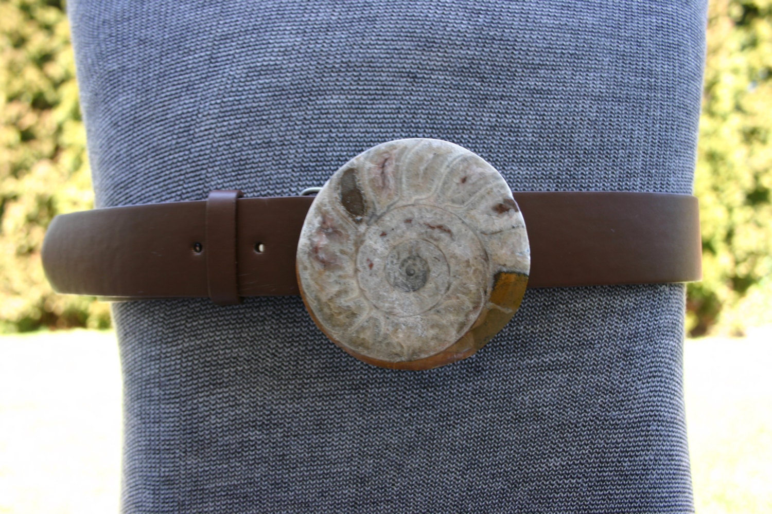 Ammonite fossil belt buckle with FREE brown Leather BELT