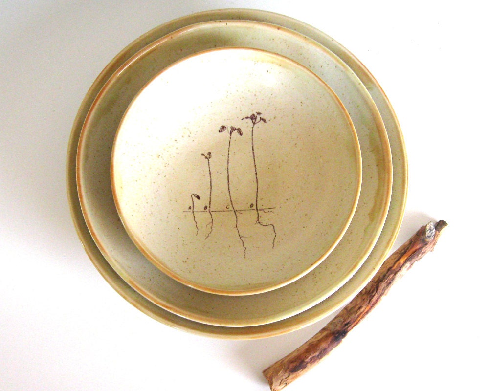 Nesting Bowls - Sprouts - Hand Thrown Stoneware Pottery