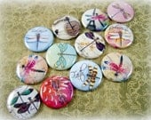 1" Flat Back Button Dragonfly Collection, 18 Count