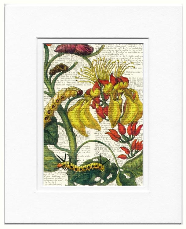caterpillars and flowers - printed on page from vintage dictionary