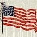 Flag printed on page from vintage dictionary...