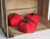 Stuffed Red Tomato Kitchen Garden Decor - Eco Friendly Garden Fun