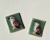 Porcelain Mosaic Tile Kookaburra