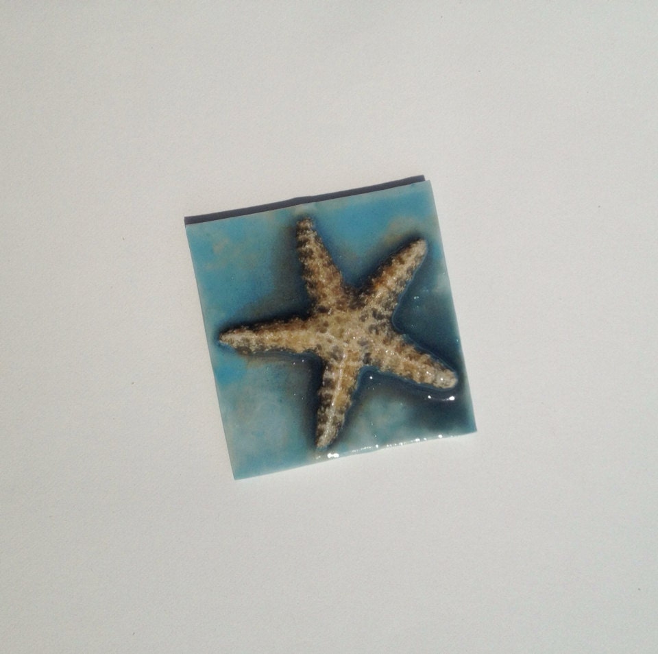 Porcelain Mosaic Tile Large Starfish