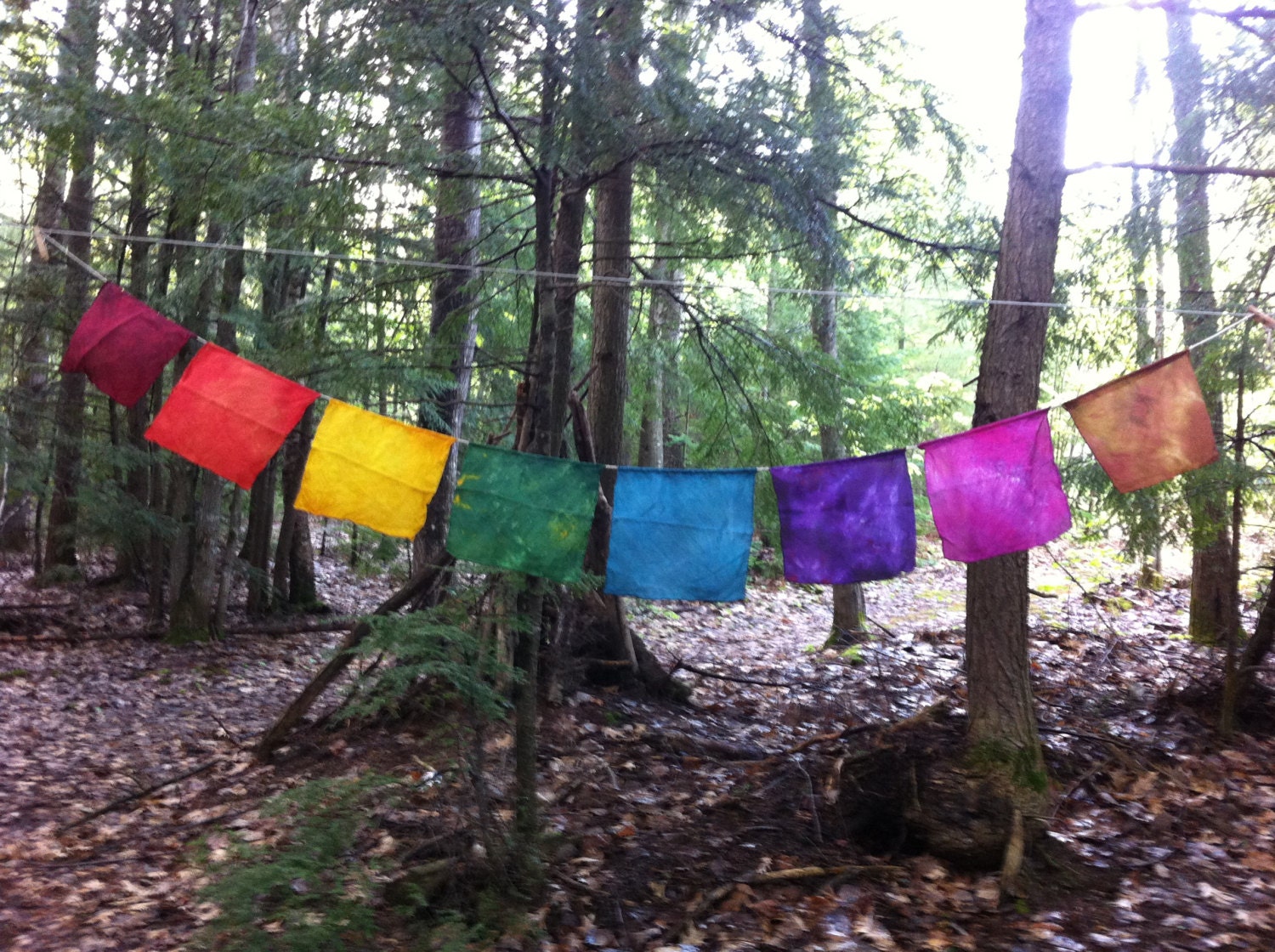 Prayer Flags - Silk and Hemp