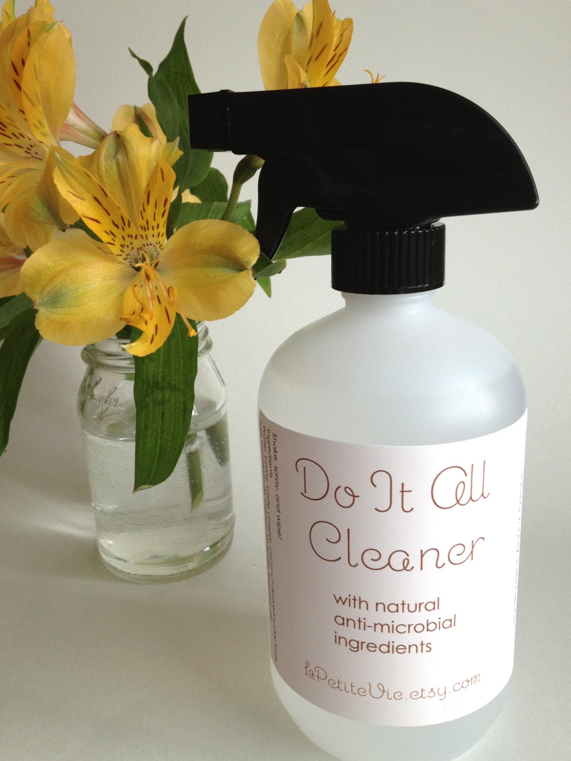Do it all Cleaner, All purpose Spray Cleaner, Non-toxic