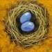 Nest painting 254 12x12 inch original bird nest portrait oil painting by Roz