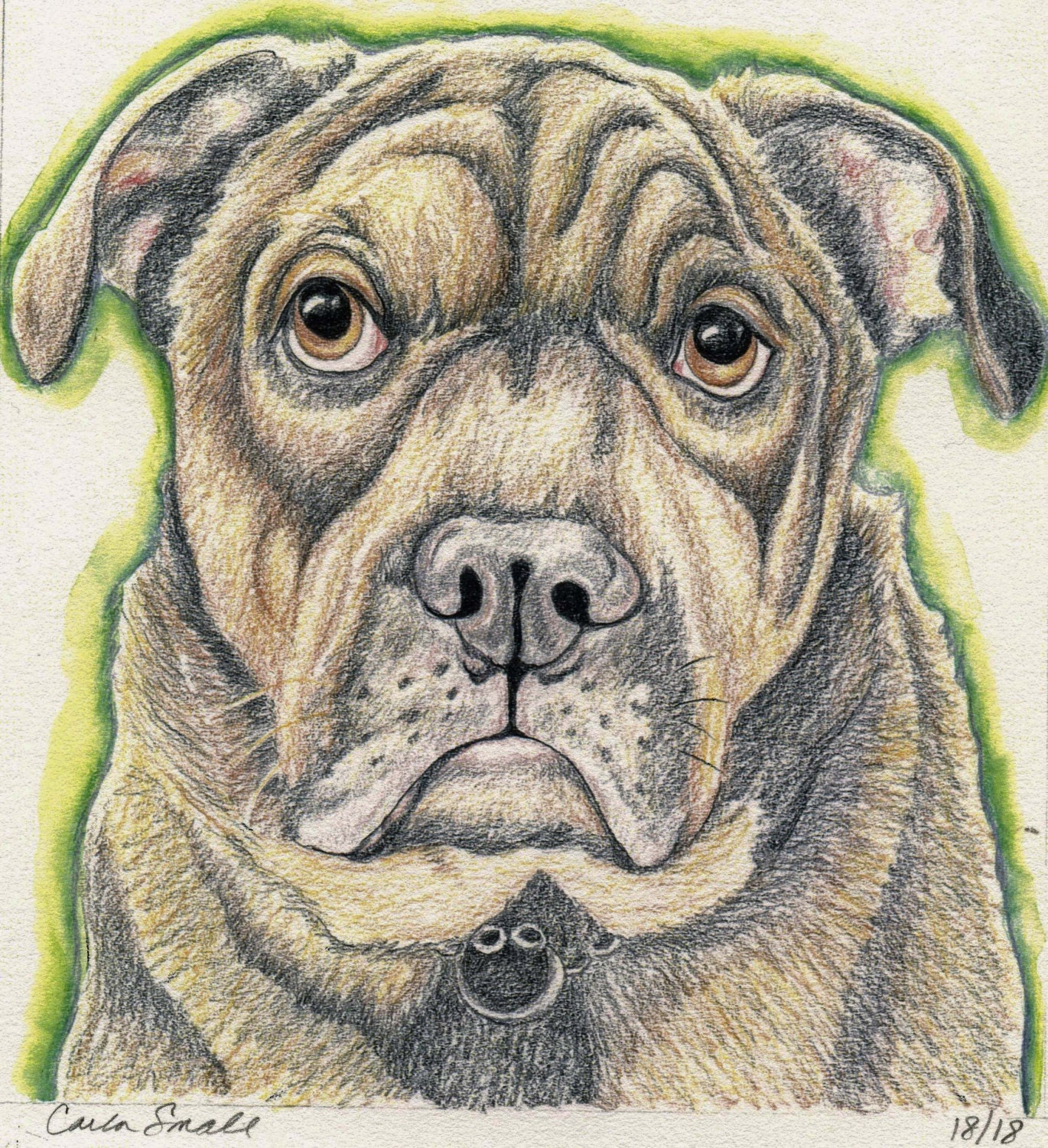 English Bullweiler Dog Art Print from Pencil Painting-Carla Smale