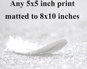Any 5x5 inch print matted to 8x10. You choose the photograph to have matted, ready to frame,  in a white 8x10 mat, Nature, Landscape, Etc.